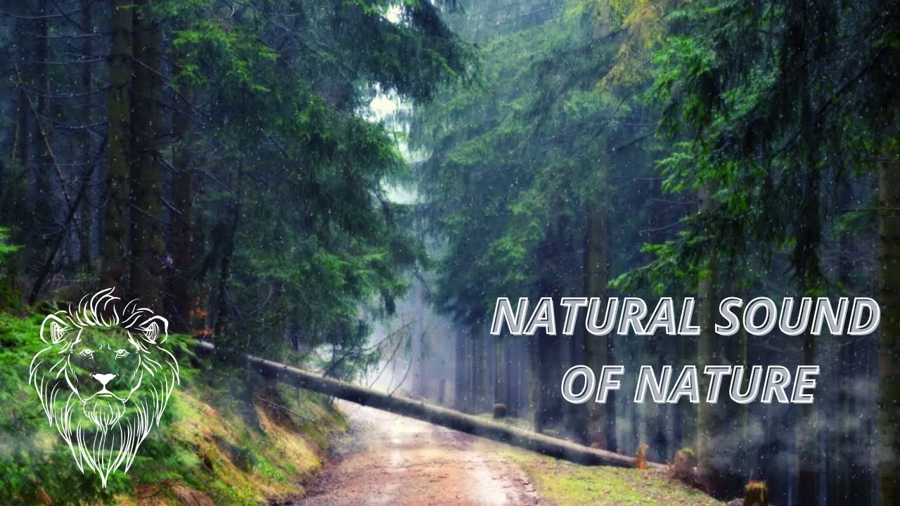 NATURAL SOUND OF NATURE & SUONO NATURALE DELLA NATURA