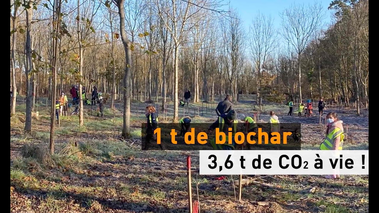 Le biochar : L'avenir de la captation du carbone ?