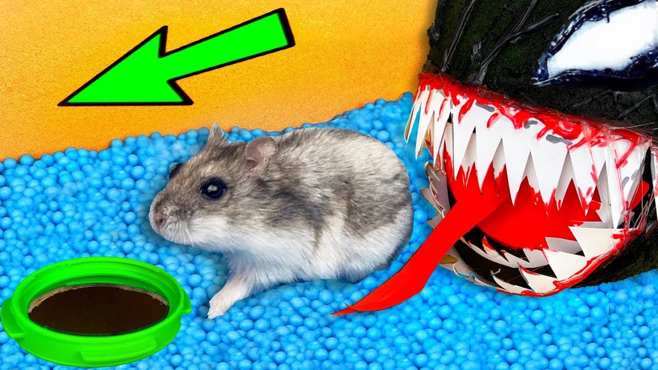 🚀 💀Веном против Хомяка в Лабиринте😱[ПОЛОСА ПРЕПЯТСТВИЙ]😱