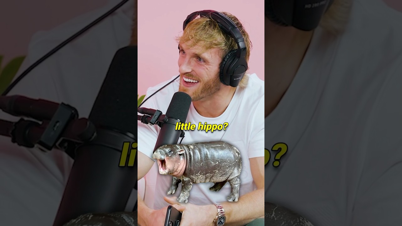 🦛 Moo Deng is DANGEROUS!
