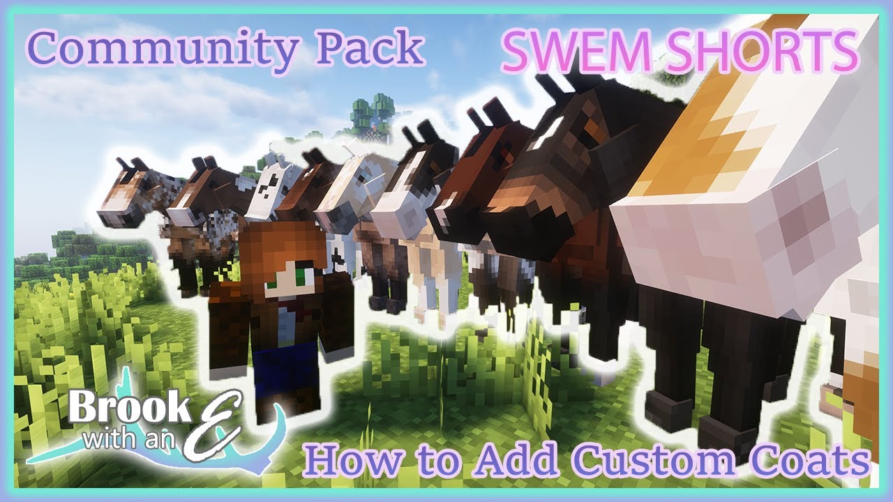 SWEM SHORTS- A Simple Guide to SWEM: Community Pack & How to add Custom Coats!