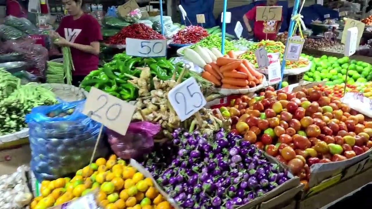 VLK 5 Vang Vieng to Vat Phou, Lao