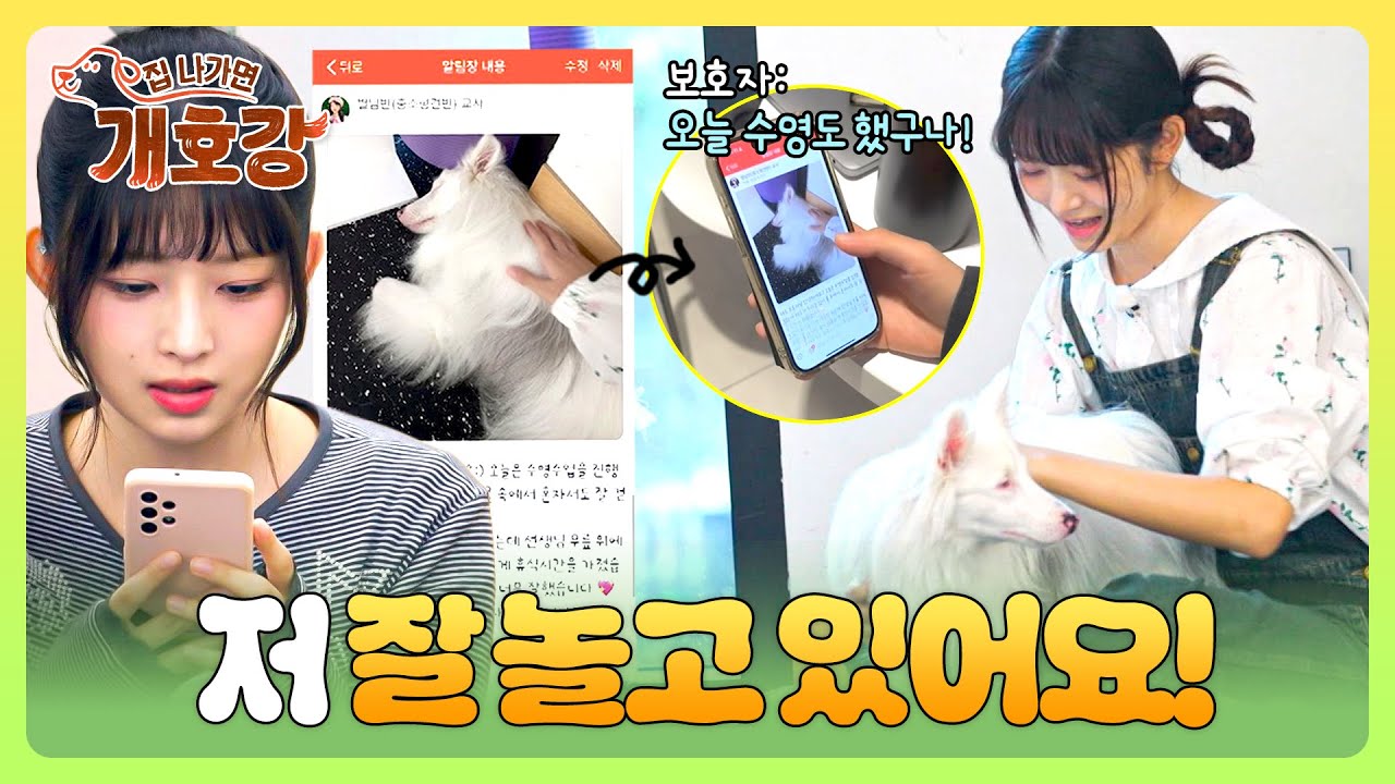 보호자 대만족☺ 레이 쌤이 보낸 알림장으로 댕댕이 유치원 생활 확인 완료💌 | 집 나가면 개호강 4회 | JTBC 250615 방송