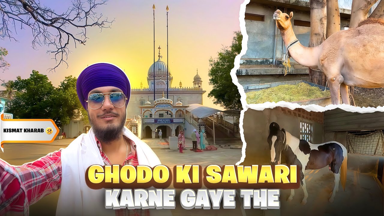 GHODO KI SAWARI KARNE GAYE THE🥲 || GURUDWARA MATA SAHIB DEVA JI || HORSE STABLE NANDED