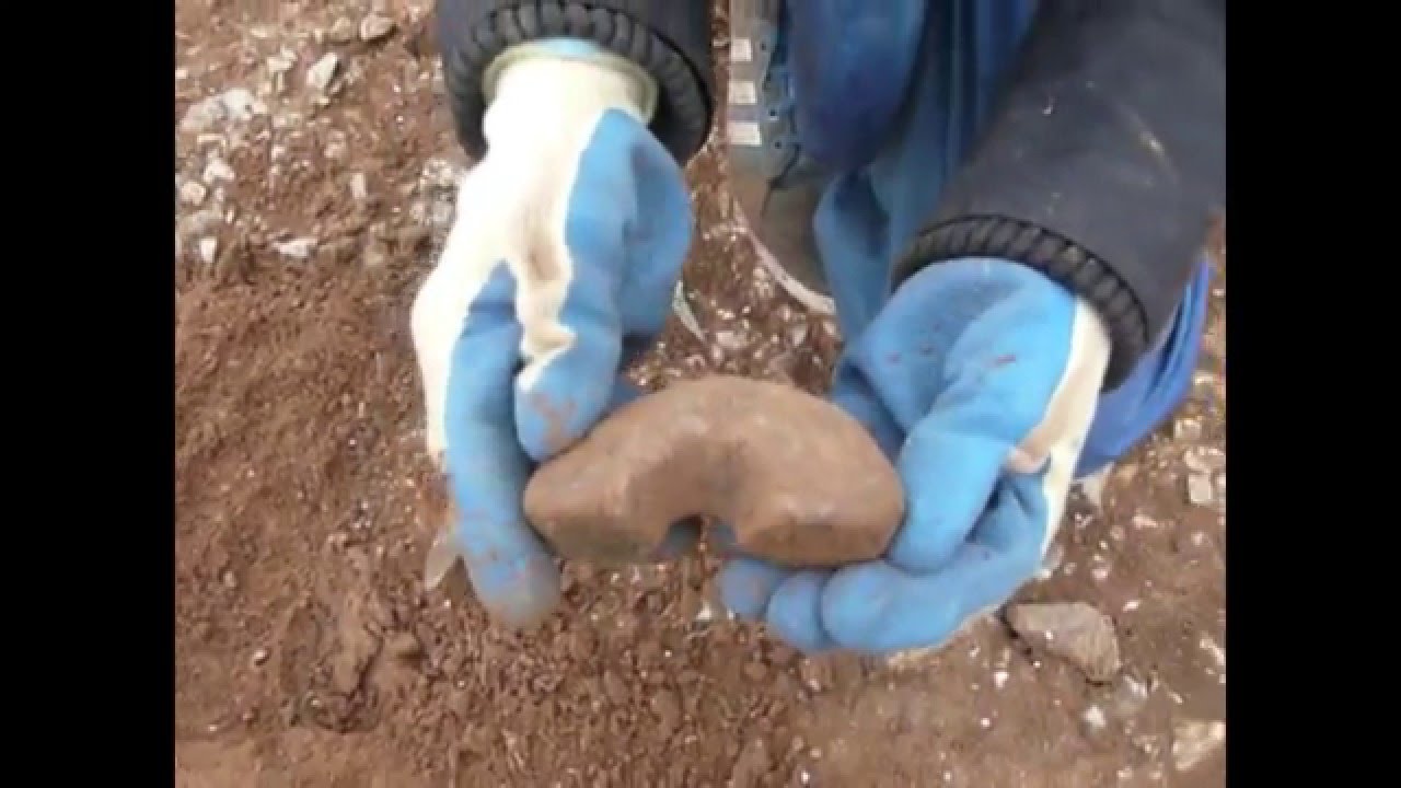 Yorkshire Wolds Archaeology Project 2015