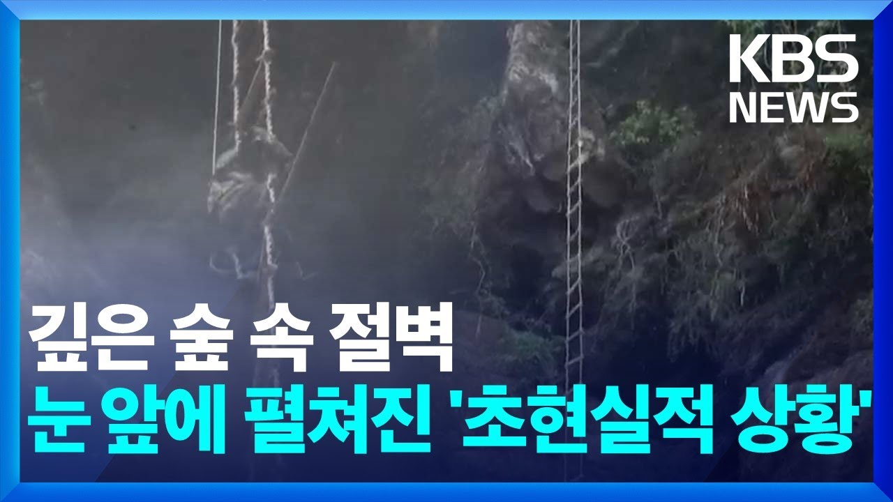 [글로벌K] 네팔, 히말라야 절벽 야생 꿀 채집 &lsquo;극한 직업&rsquo; / KBS  2024.07.12.