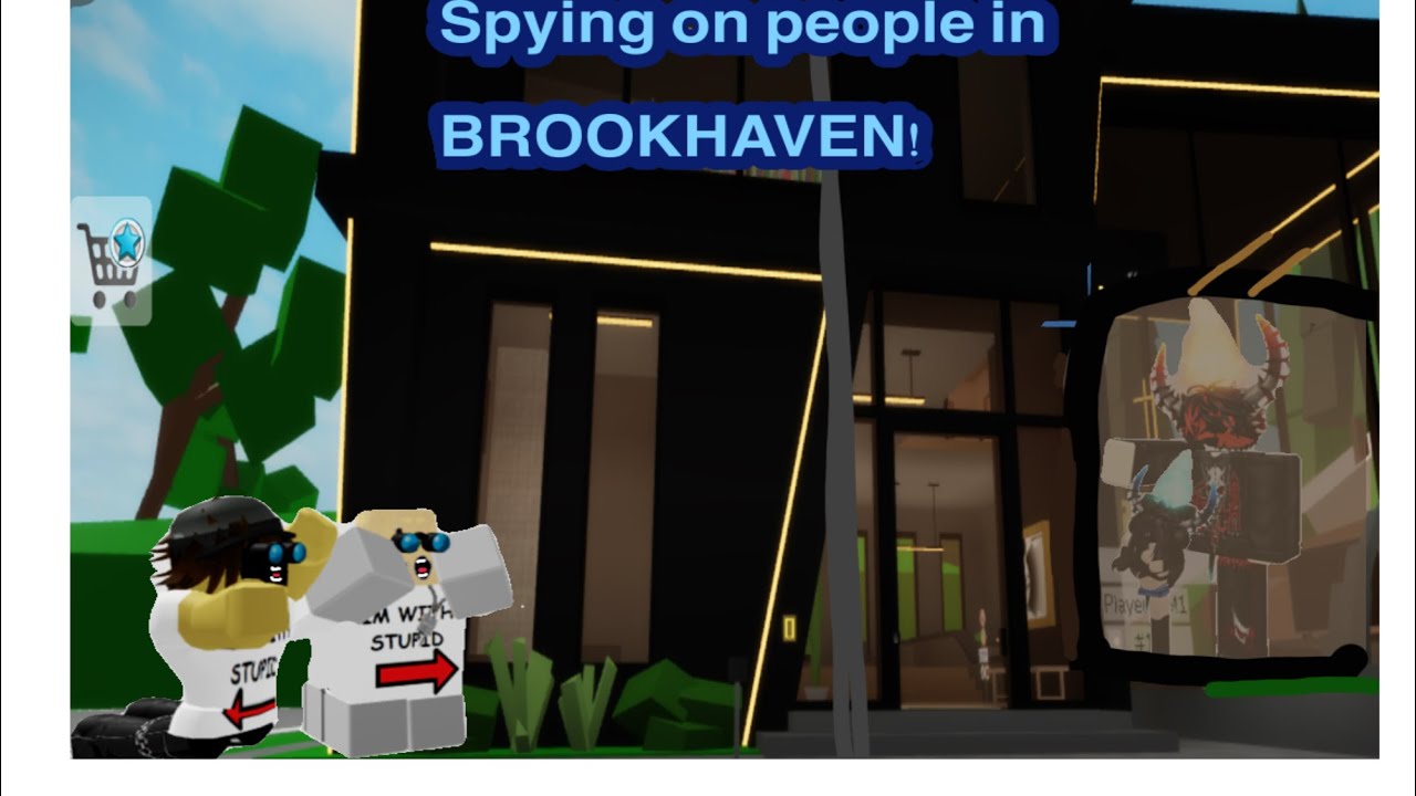 SPYING ON PPL IN BROOKHAVEN😱😱