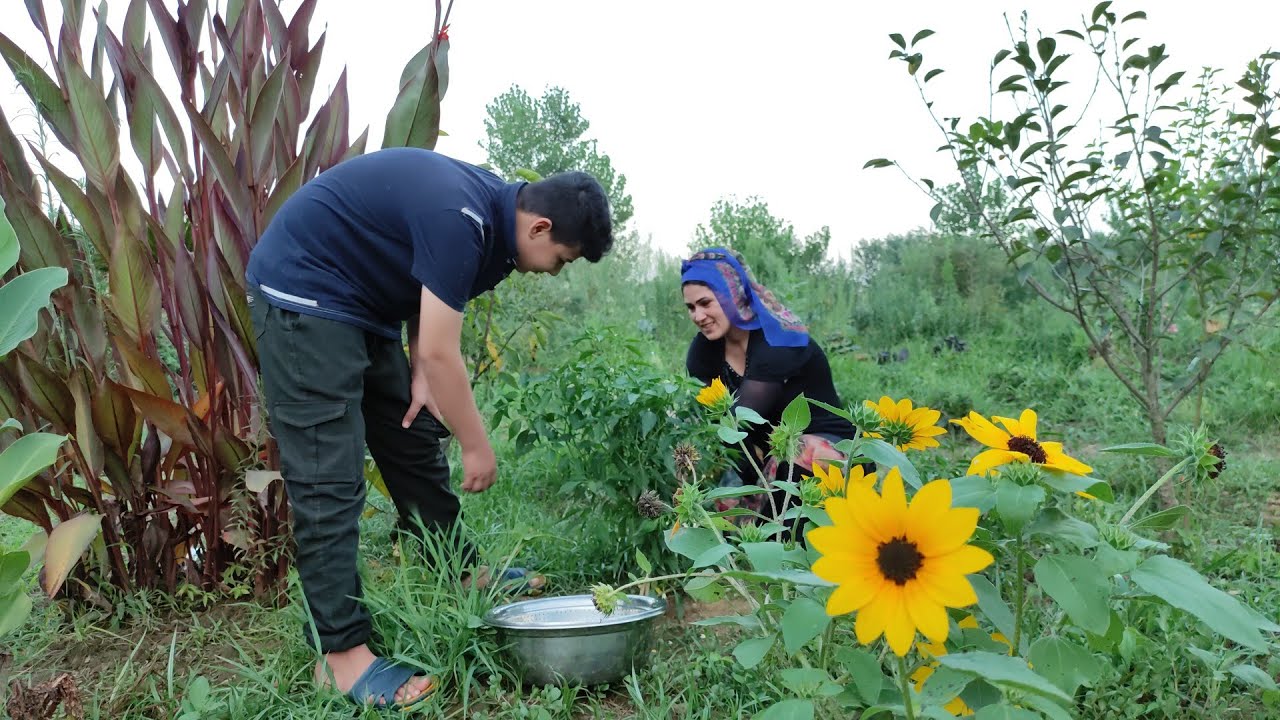 زندگی روستای.خانوم خانه کتلت گوشت میپزد و این بهترین روش تهیه این غذای لذیذ است😋