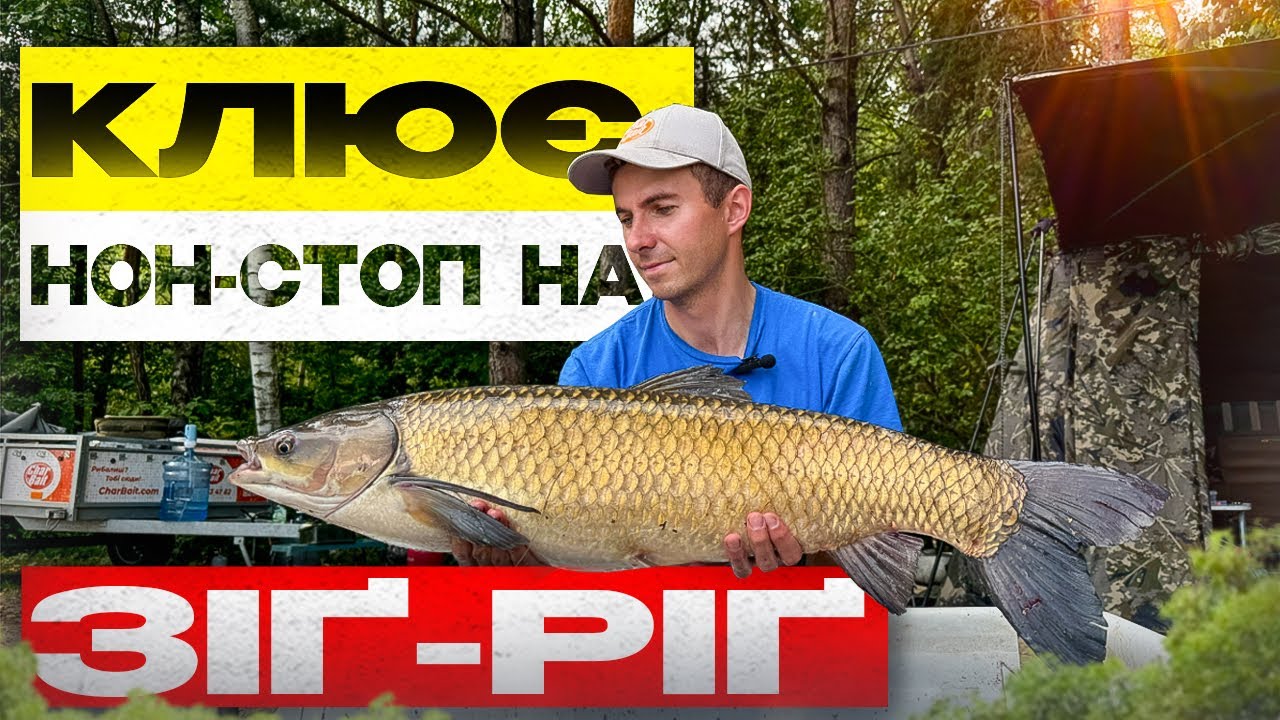 Риба атакує прямо з руки! 🎣🔥 Зіґ-ріґ у дії