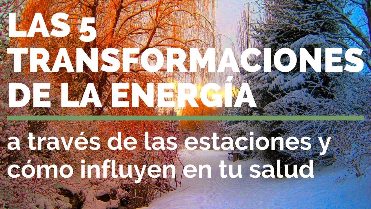 5 TRANSFORMACIONES DE LA ENERGIA: influencia de los cambios estacionales en tu salud. Macrobiótica