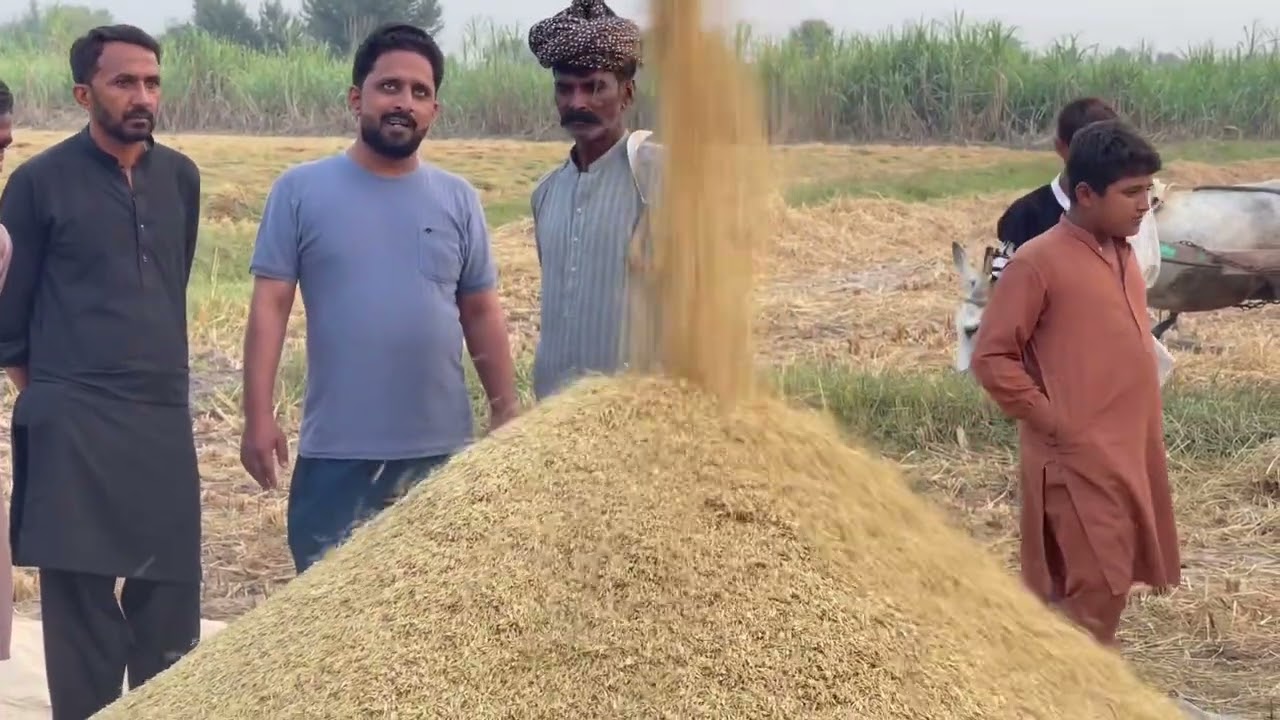 Kaboota ki Katie