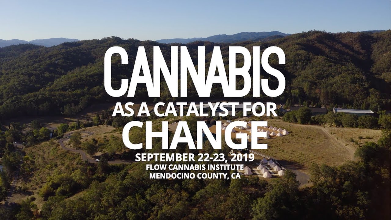 Flow Talks: Cannabis as a Catalyst for Change