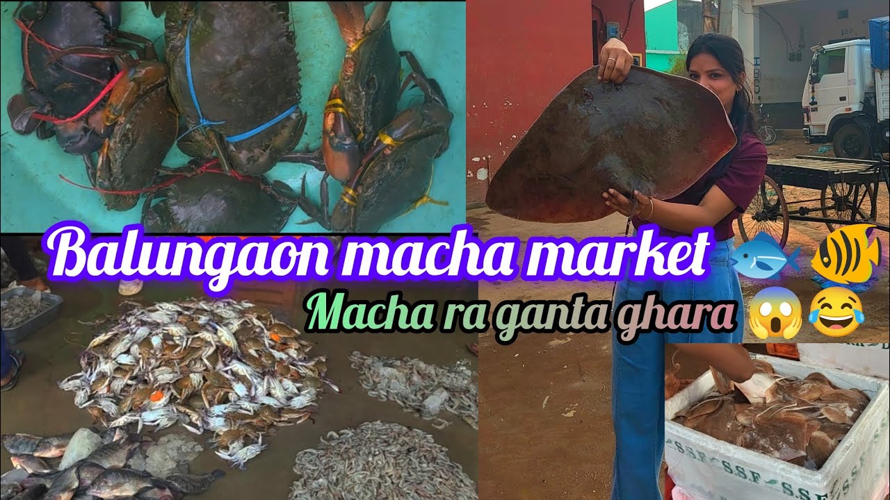 Balungaon macha market 🐟🐠😍#viral #odiablogs #sandhyaranivlog #chilikalake #balungan 