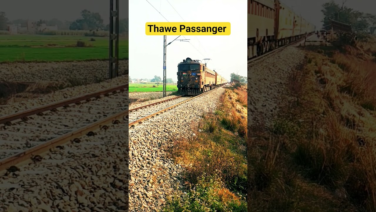 Day 29 Travel Train Journey Chhapra Kachhari -Thawe Passanger 