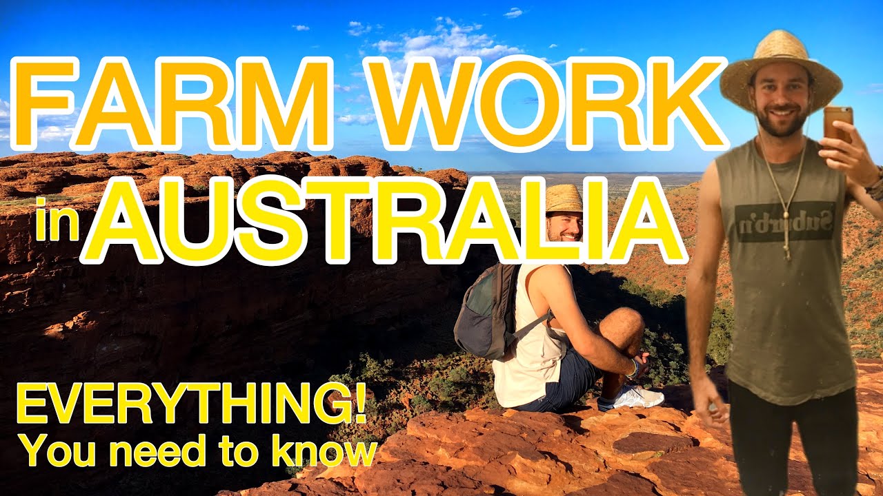 FARM Work in Australia - Tips, Advice, How To FIND FARM WORK - Farm Visa / Working Holiday Visa