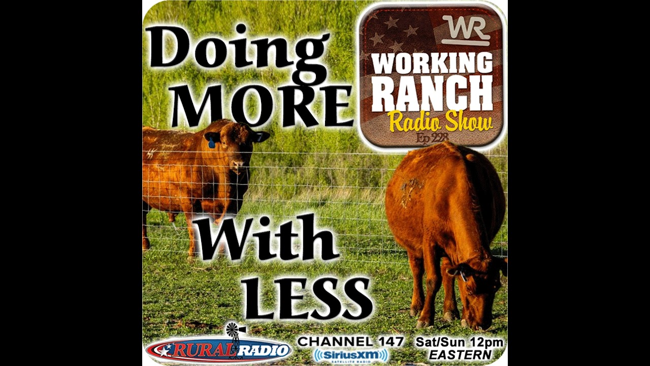 Ep 228: Doing More with Less: Precision Ranching with Chip Kemp