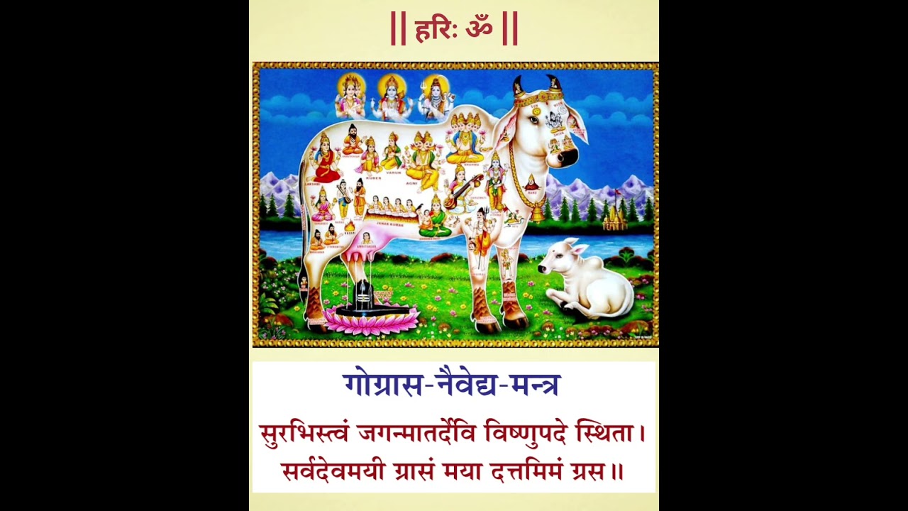 गौ माता ( गौग्रास मंत्र ) || इस मंत्र से गौमाता को गौग्रास दें || gaugrass mantra with lyrics || 