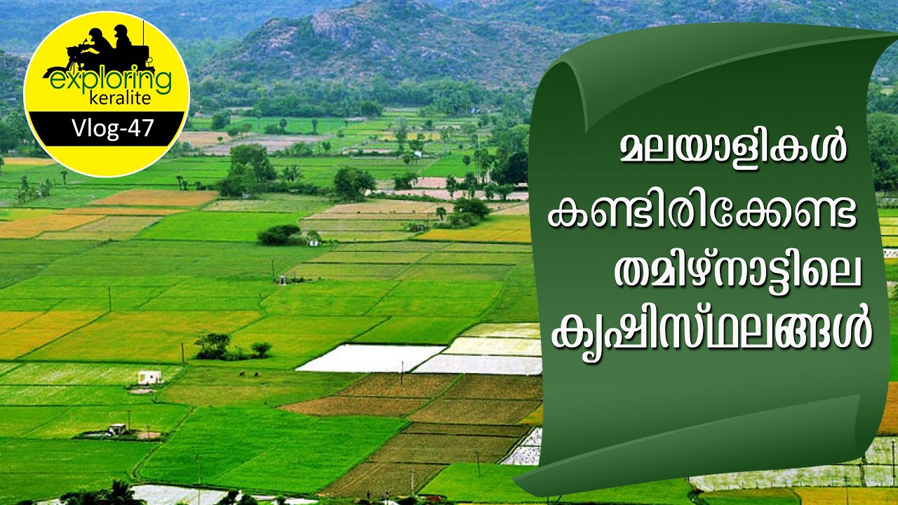 The Main Vegetables Grown In Tamil Nadu #tamilnadu #Agriculture #video