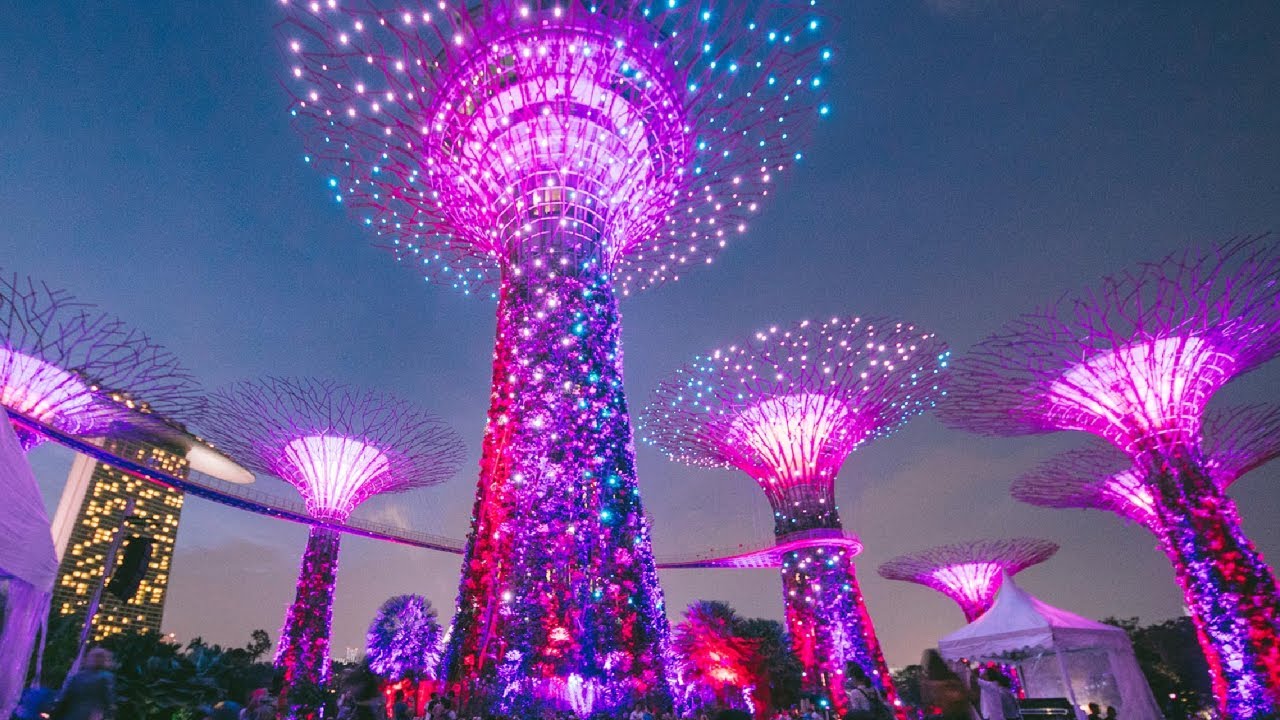 Supertree Grove Musical Light Show at Gardens by the Bay, Singapore