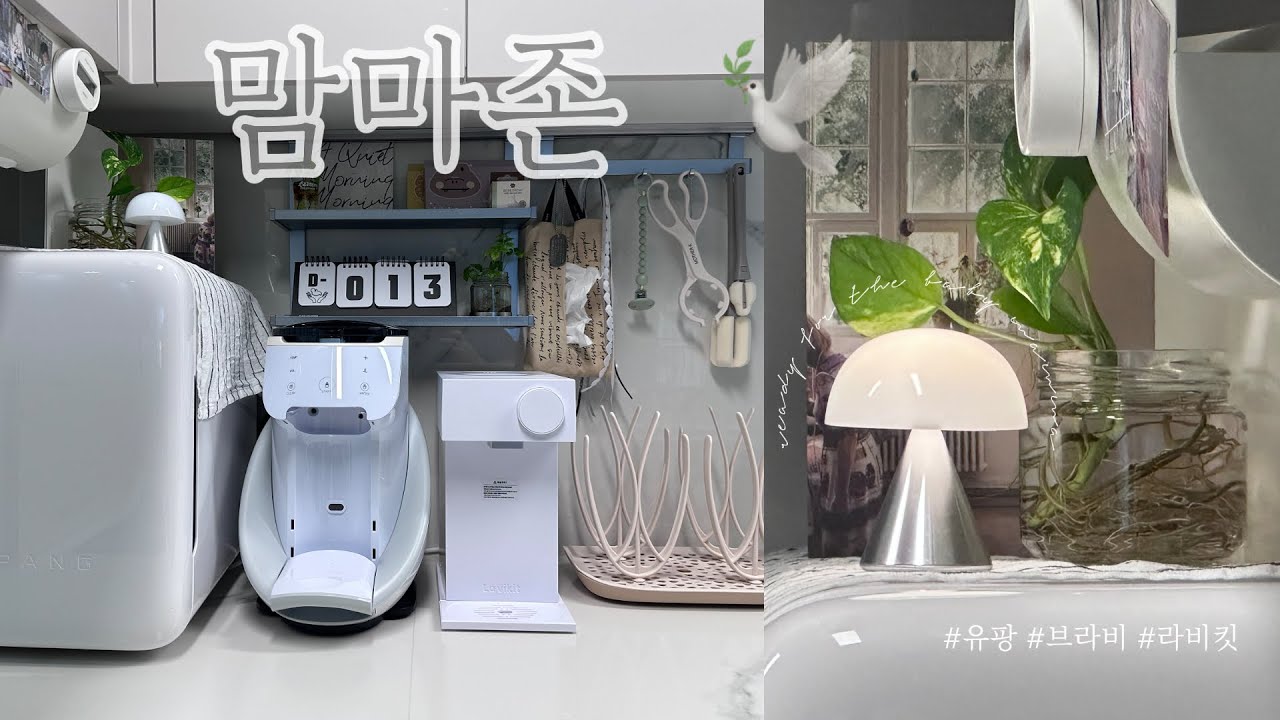 【출산준비ep2】임신38주차 맘마존준비🍼| 젖병소독 | #유팡#브라비#라비킷 세척방법 | 똑.부러지는 애미의 맘마존 청소㋡