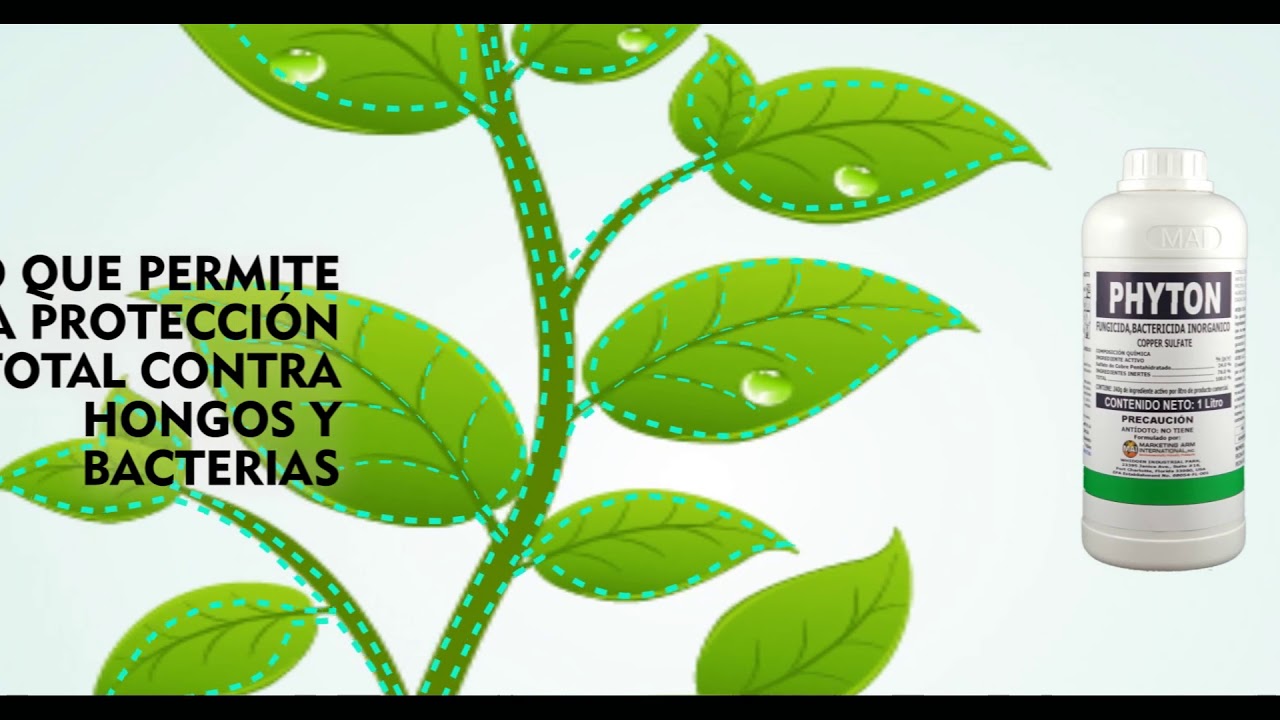 PHYTON - FUNGICIDA Y BACTERICIDA -MARKETING ARM INTERNATIONAL
