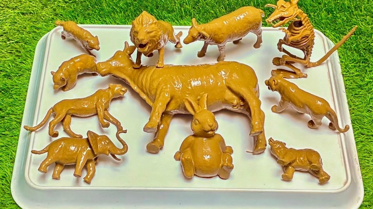 Muddy Playtime & Learning with Farm Animals and Pet Animals for Toddlers