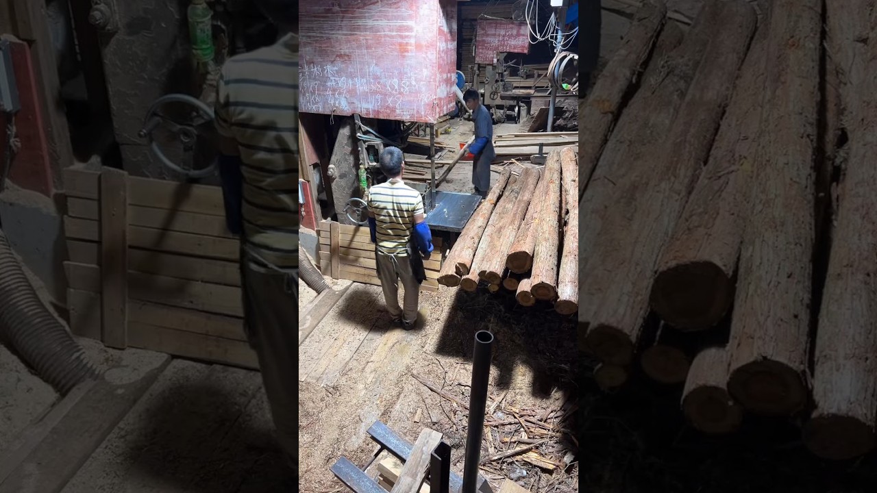 Working hard to get married--Sawing timber