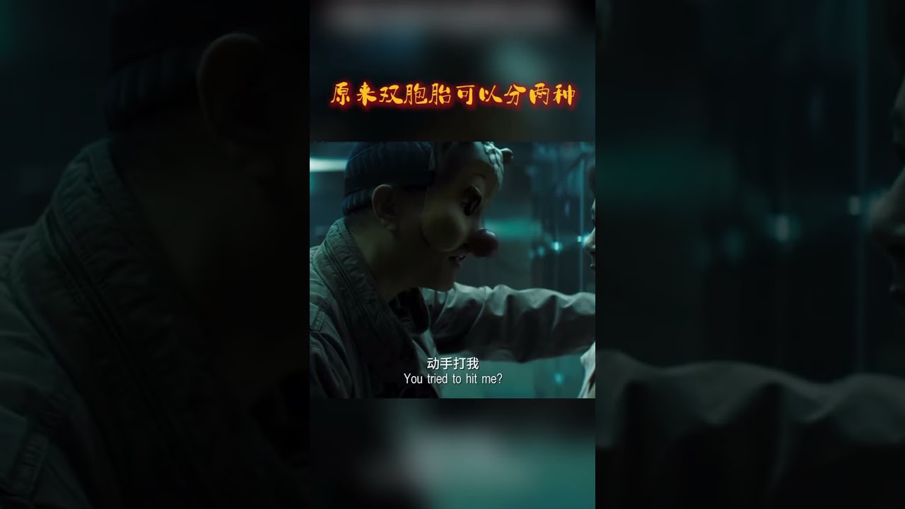 原来双胞胎可以分两种！#前任3：再见前任 #郑恺 #杨紫 #韩庚 #影视 #搞笑