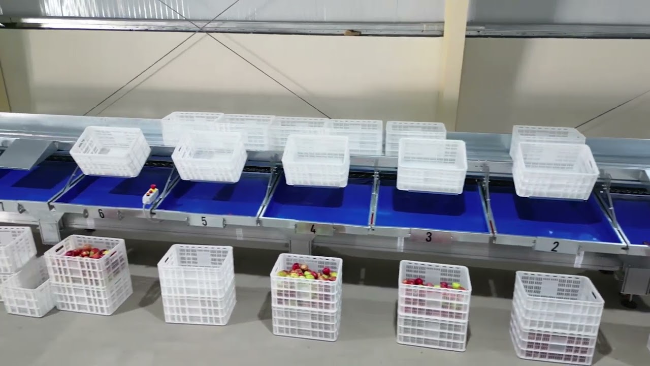 Apples Grading Line - Lateral Discharge
