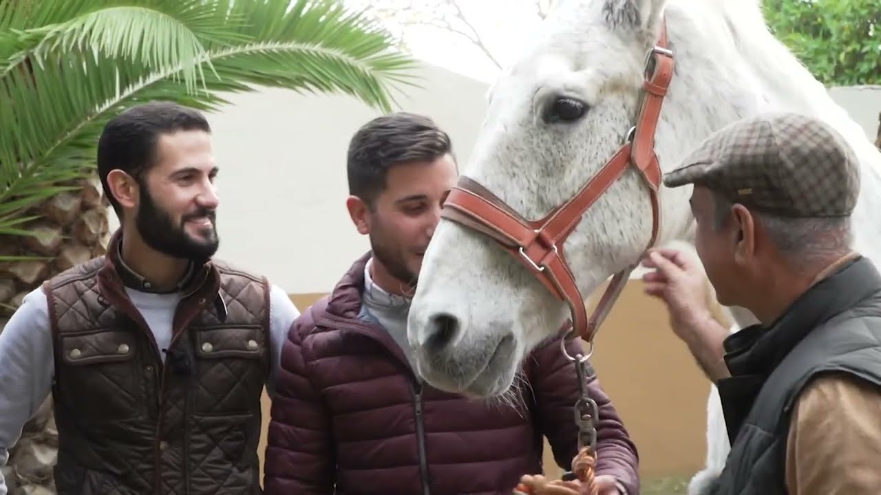 TODOCABALLO Capítulo 55: Yeguadas las Arenas y El Almendrillo y Policía Local de Málaga