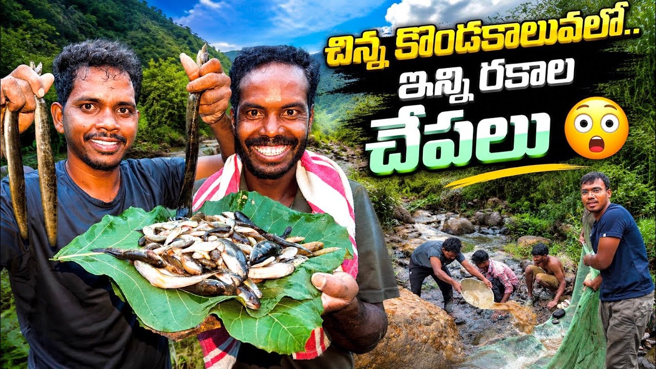 కొండకాలువలో చిన్ని చేపల వేట-రకరకాల చేపలు 😳 Village Fishing Adventure | Araku Tribal Cooking