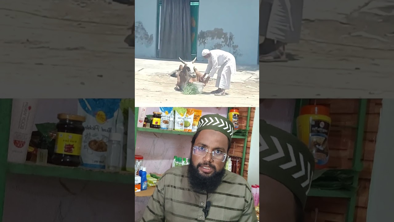 Muslim Buzrug ne Gay ko chara Paani | #islam #ytshorts #motivation #gau #cow @Noori66