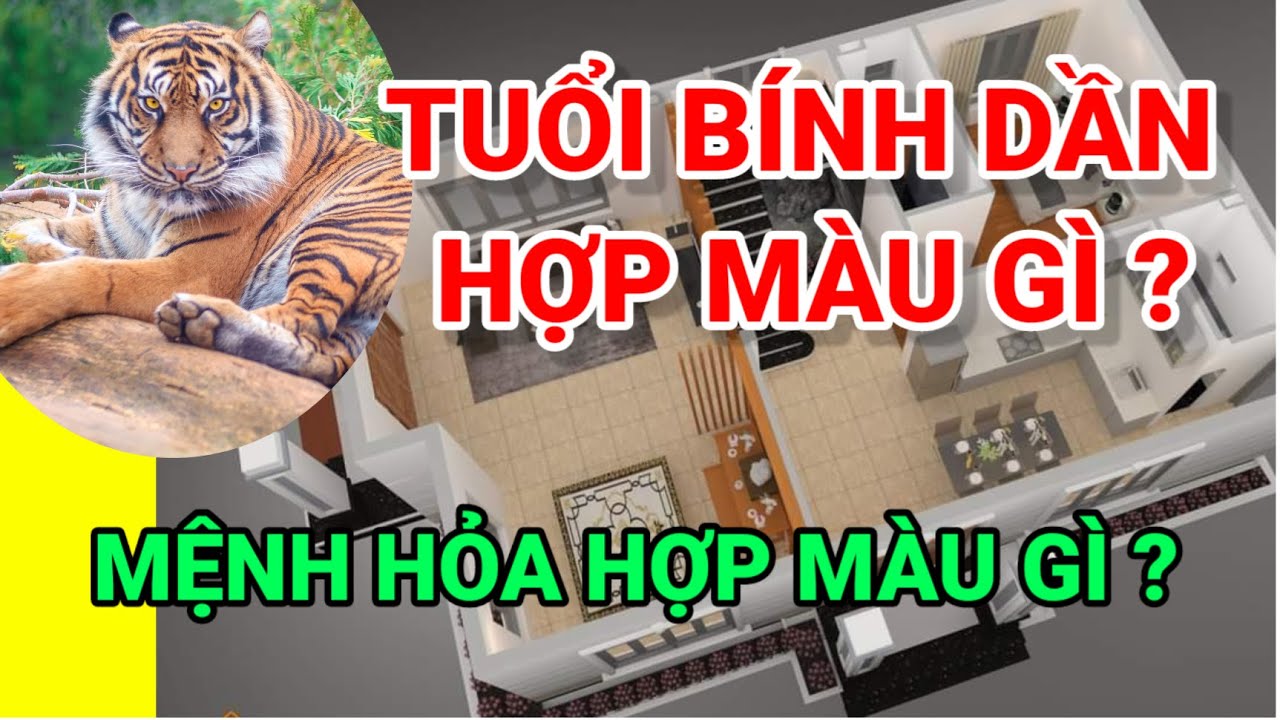 Tuổi Bính Dần Hợp Màu Gì | Tuổi Bính Dần Mệnh Hỏa