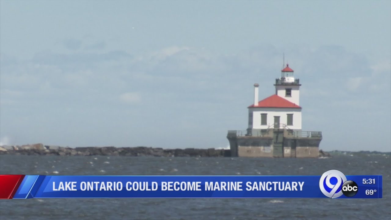 Lake Ontario Could Become a Marine Sanctuary