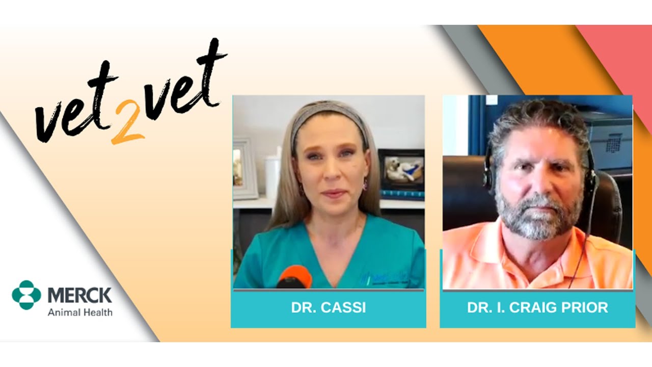Don't Get Complacent, Parasites Are on the Move (Parasite Prevention) | A Vet2Vet Conversation