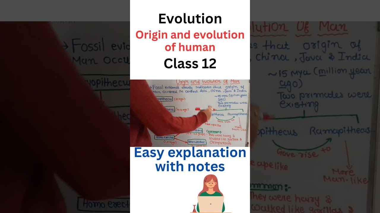 origin amd evolution of human class 12 biology | evolution class 12 biology