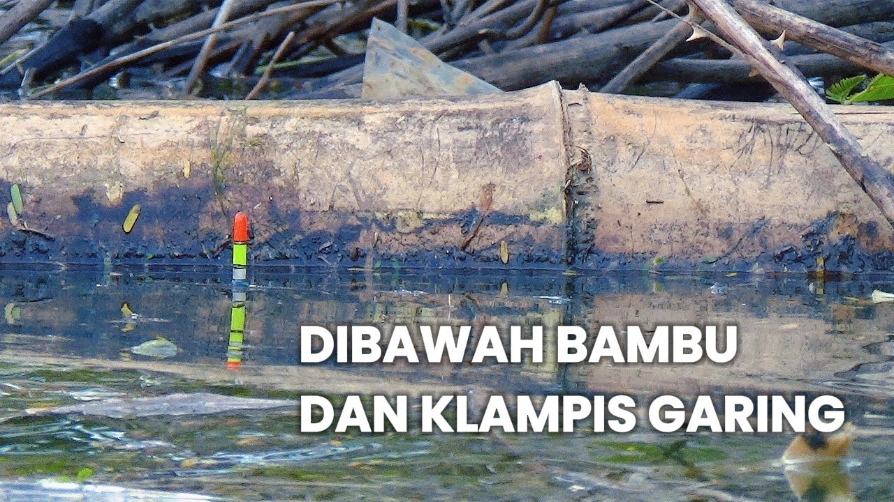 WGM Terbaru‼️ AIR NAIK, BANYAK IKAN BERSEMBUNYI DIBAWAH SAMPAH #mancing #fishing #mancingmania 