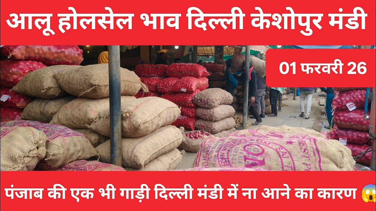 01 फरवरी 26 आलू होलसेल भाव दिल्ली केशोपुर मंडी #potato #aalu 