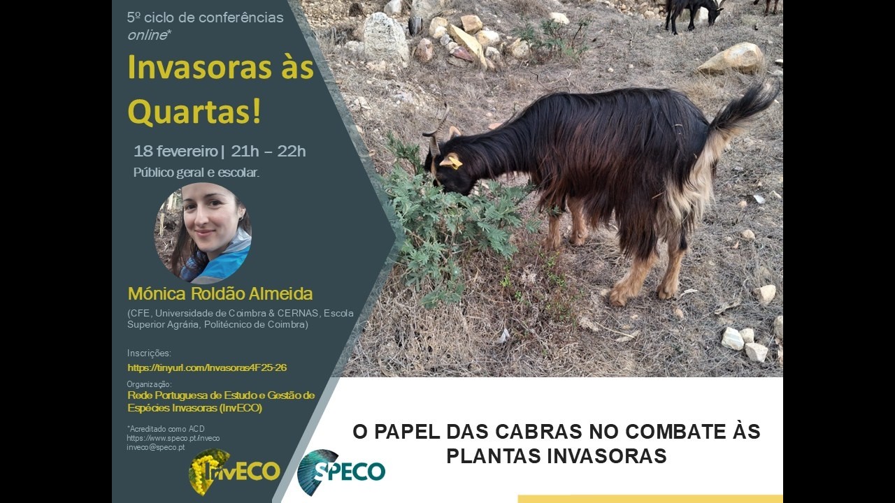 O papel das cabras no combate às plantas invasoras