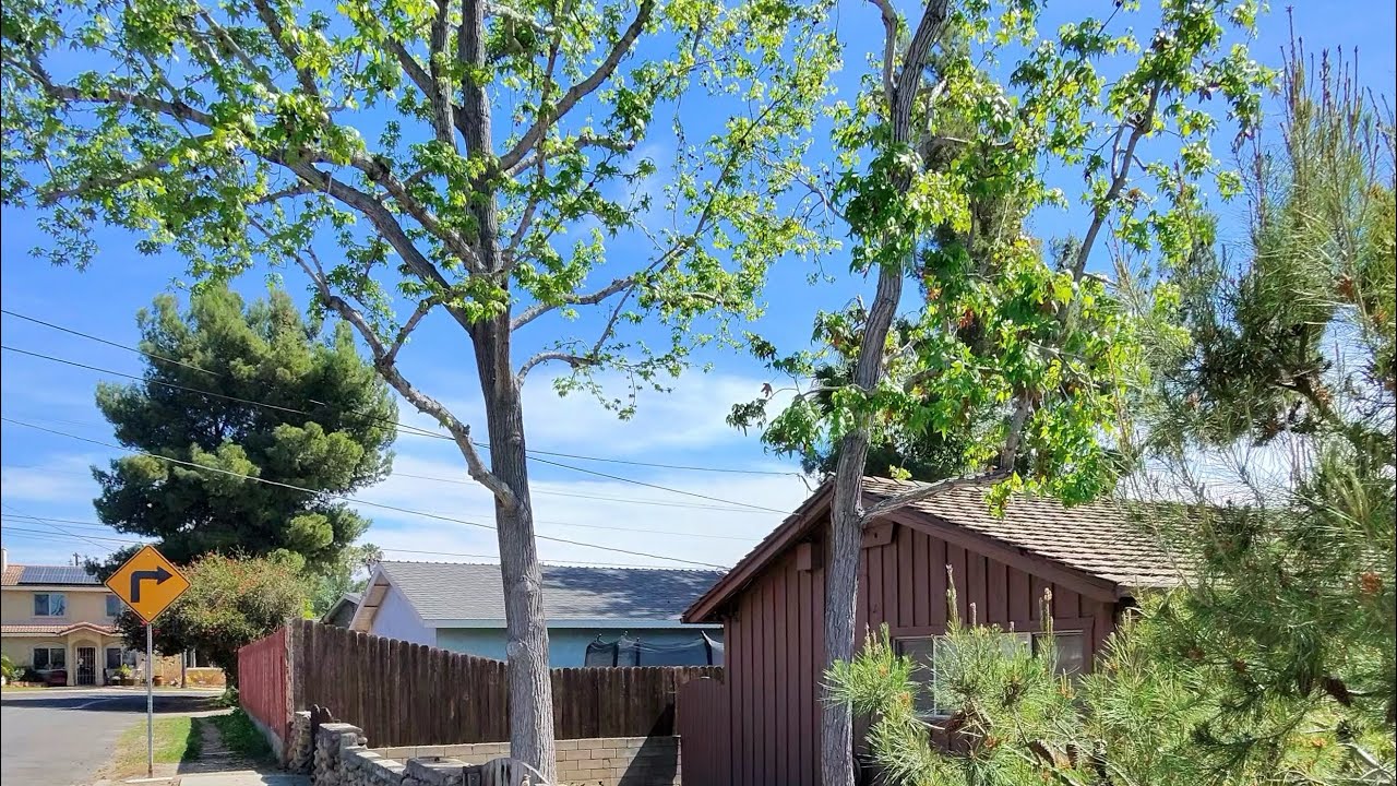 Вы заслуживаете всего, что вам достанется.