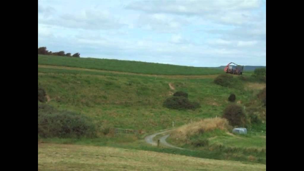 single chop silage 2012