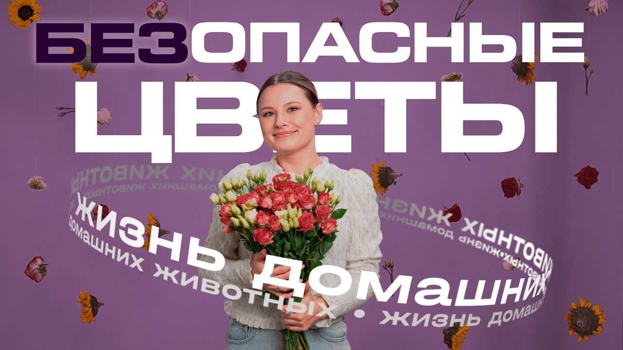 Безопасные и опасные цветы для ваших питомцев!