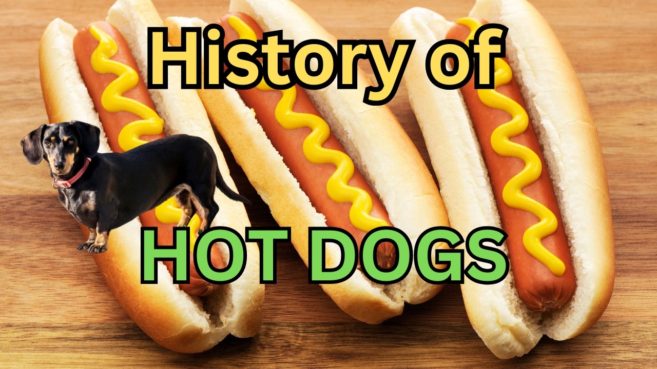History of the Hot Dog. Made with Dogs? NO!! #facts #didyouknow #hotdogs