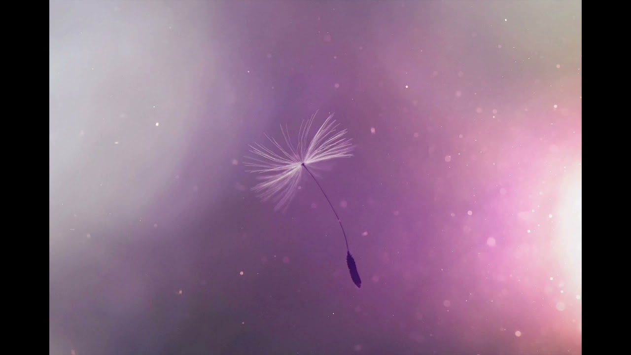 Sagittarius October 2024 Horoscope: Make a Wish! Solar Eclipse in Your House of Dreams!🪄🌟