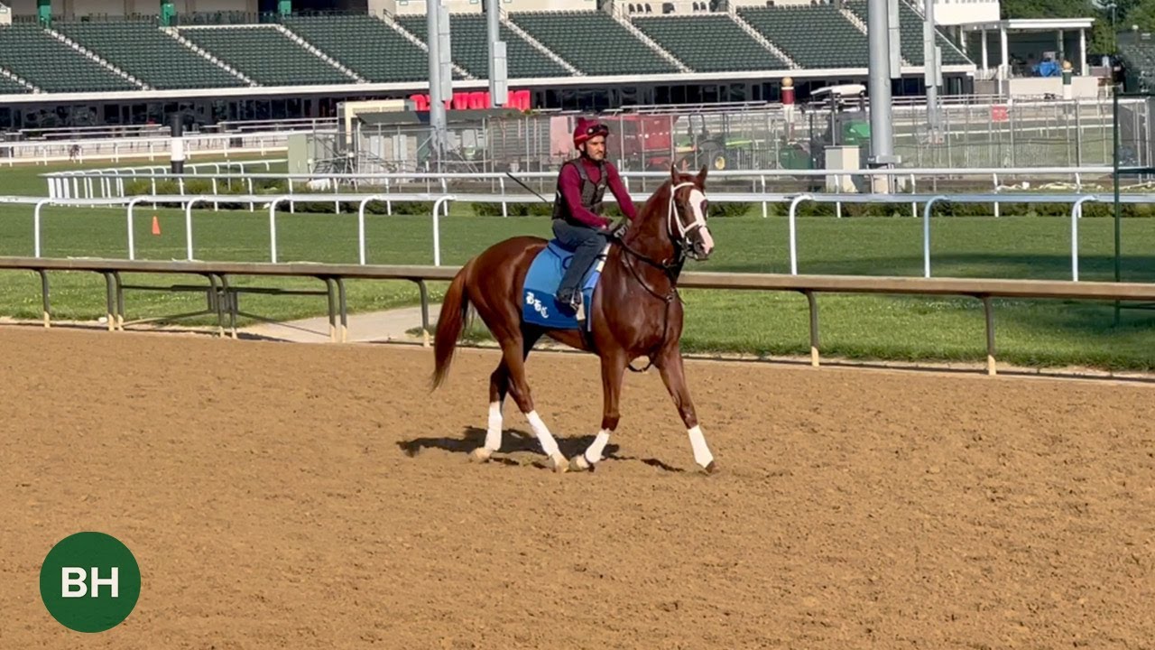 Kazakhstan and Russia Racing Star Kabirkhan, son of California Chrome, Trains to Race in the U.S.