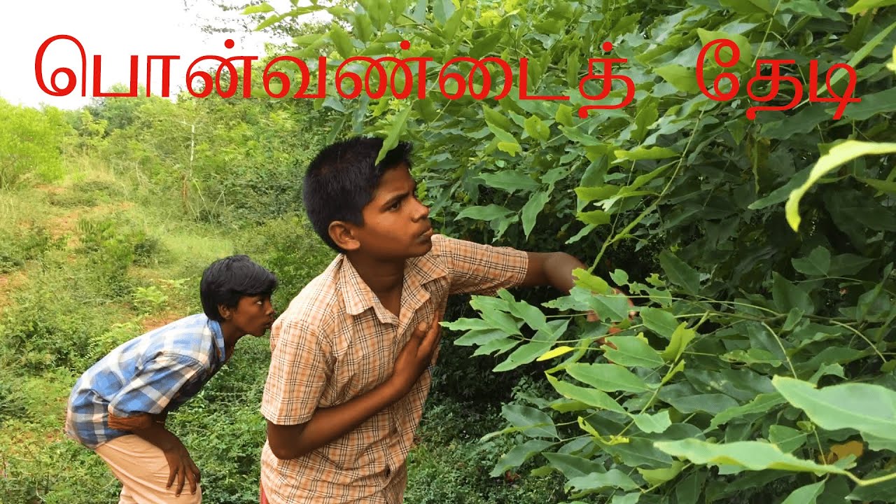 PONVANDU ORU PARVAI/PONVANDAI THEDI/PONVANDU ORU PAYANAM/JEWEL BEETLE/GOLDEN BEETLE/CHILD BEETLE