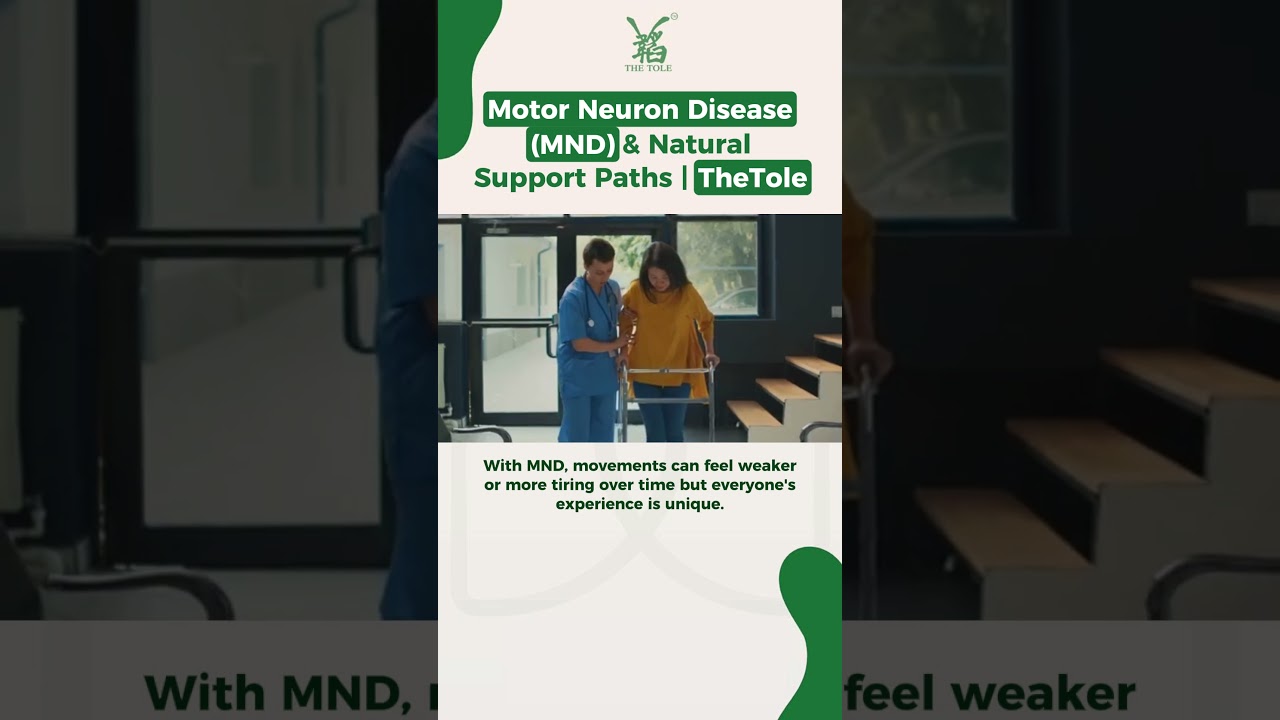 WHAT IS MOTOR NEURON DISEASE (MND)? - TheTole Acupuncture & TheTole Herbs
