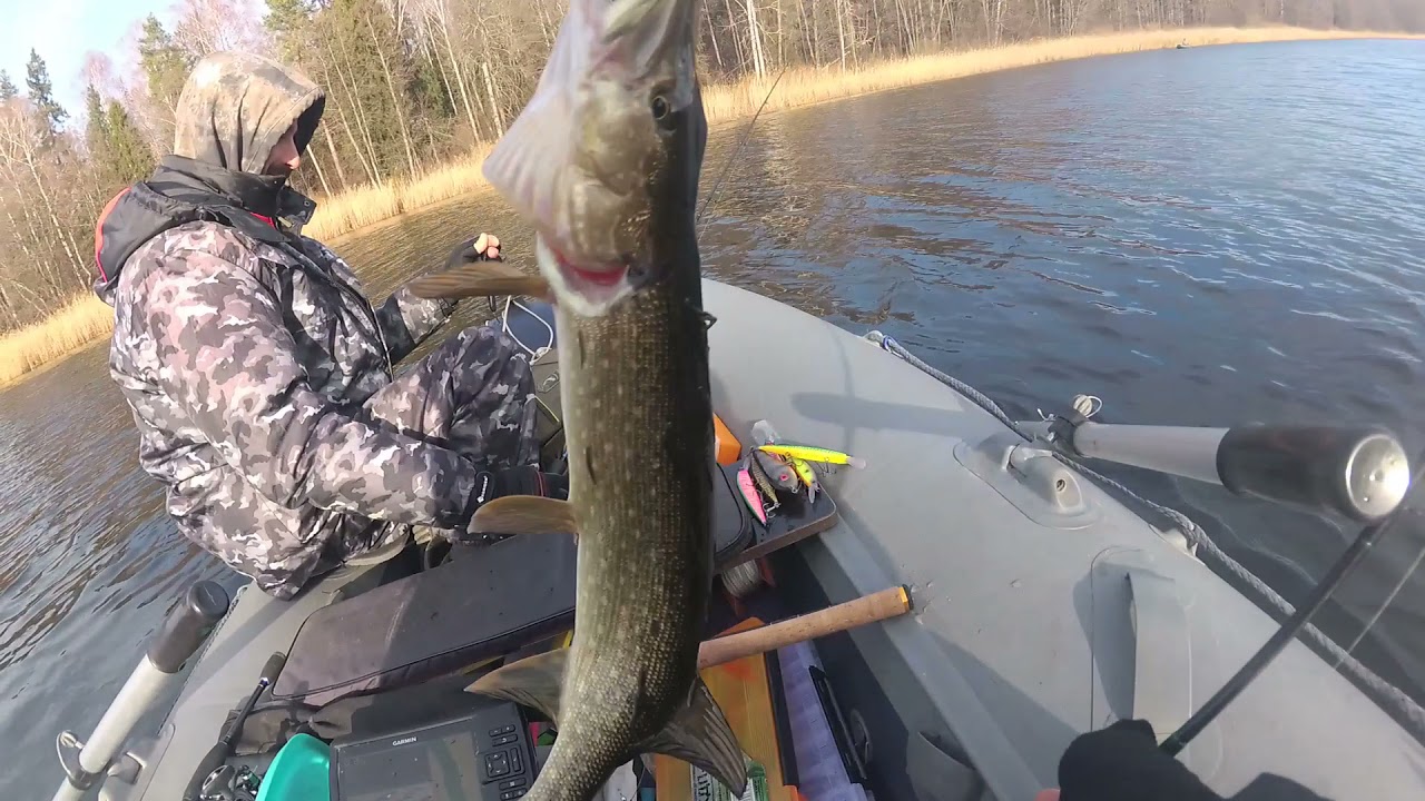 Щука на джерк Strike Pro Wolf Tail Jr. и копию Риренж 110 с АлиЭкспресс!