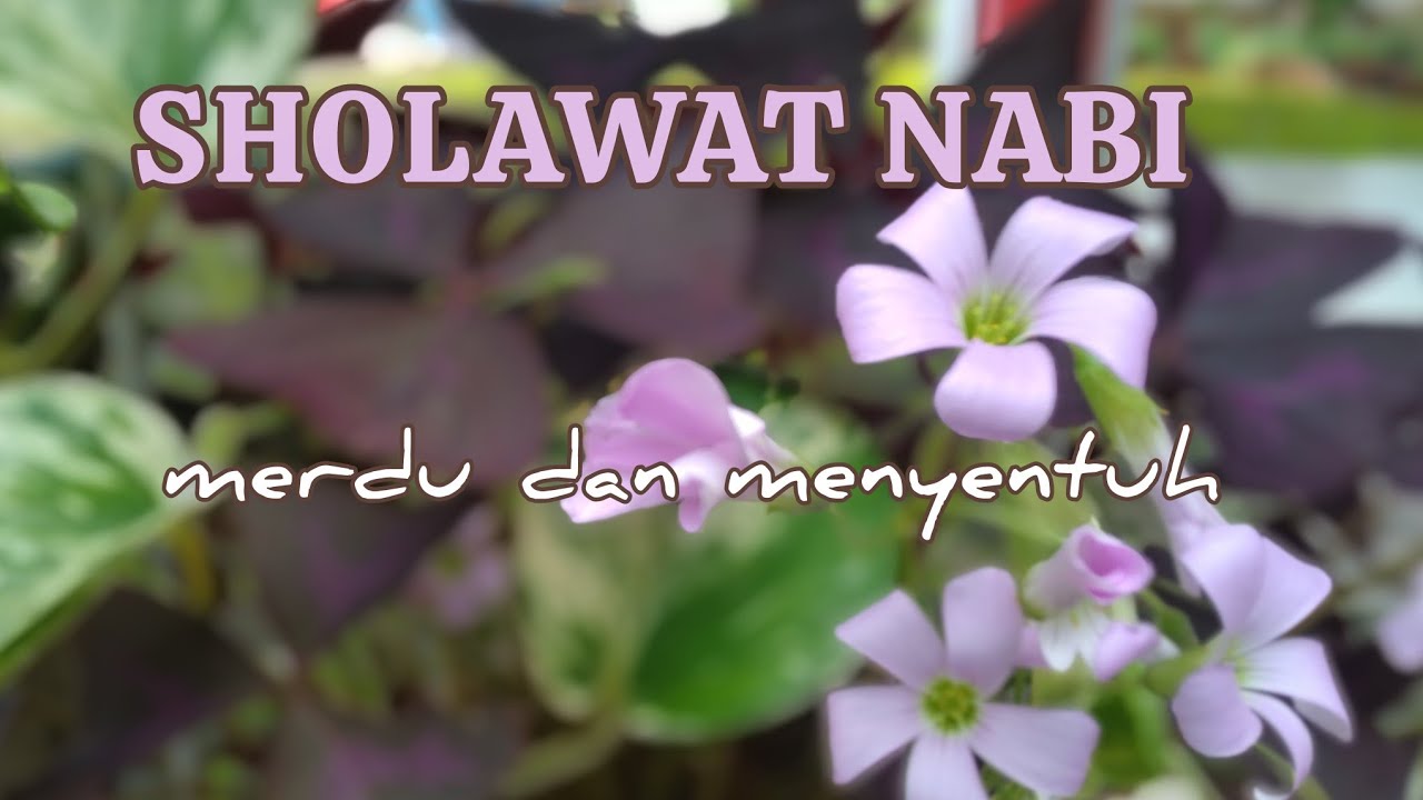 SHOLAWAT JIBRIL PENYEJUK HATI SUARA PEREMPUAN PALING LEMBUT
