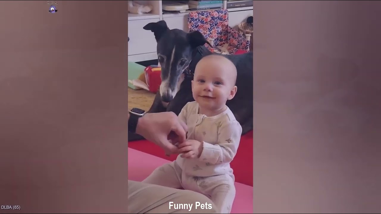When Your Baby and Little Dog Are Having a Confidential Talk 🐕🤣